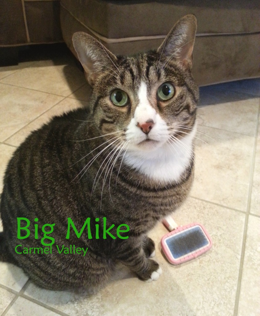 Big Mike with name