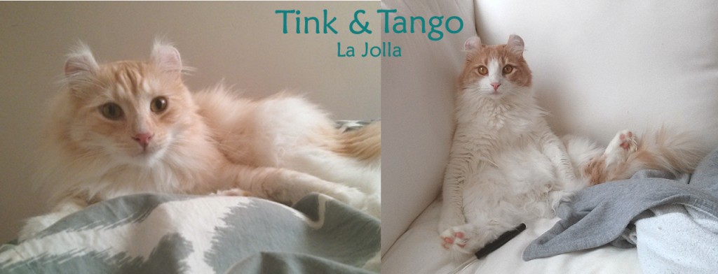 Tink and Tango